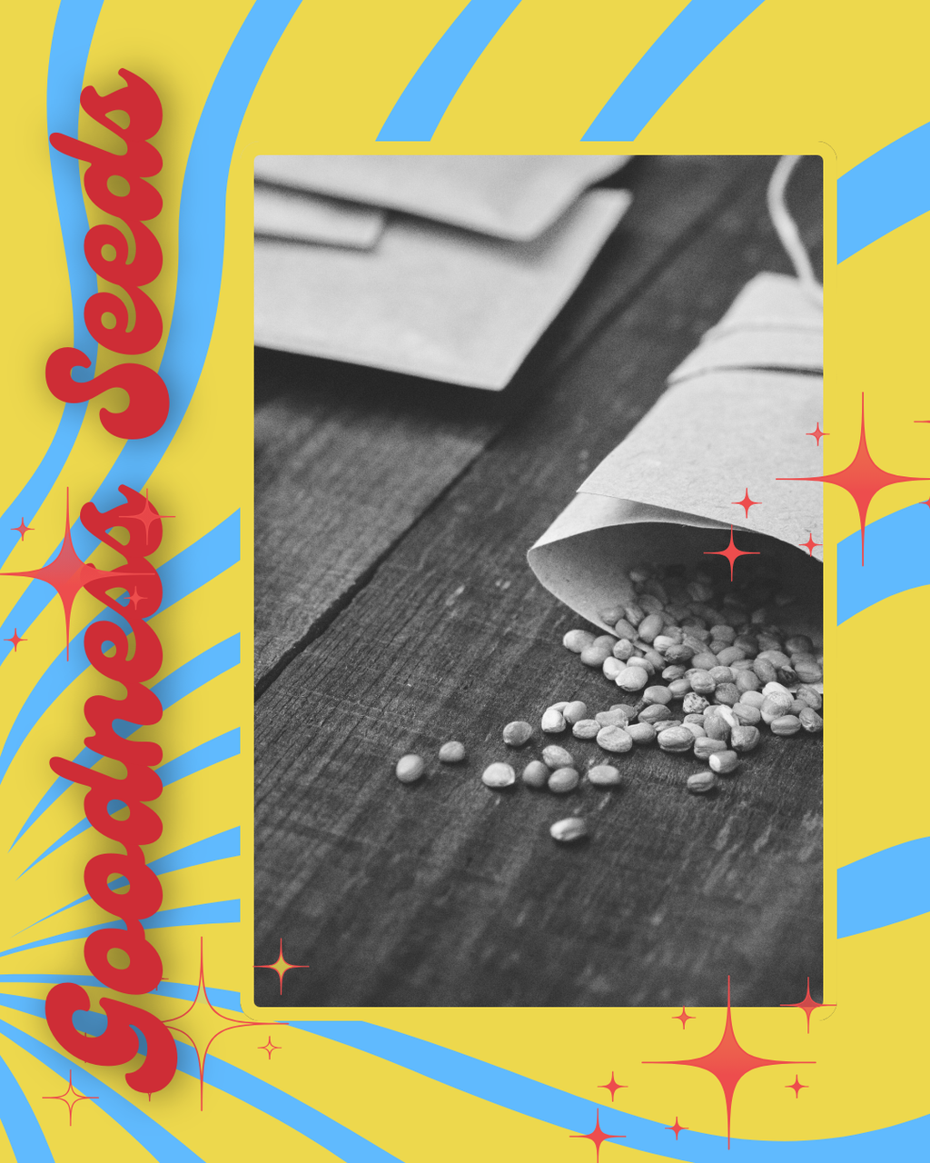 Monthly NYLC Mail Subscription